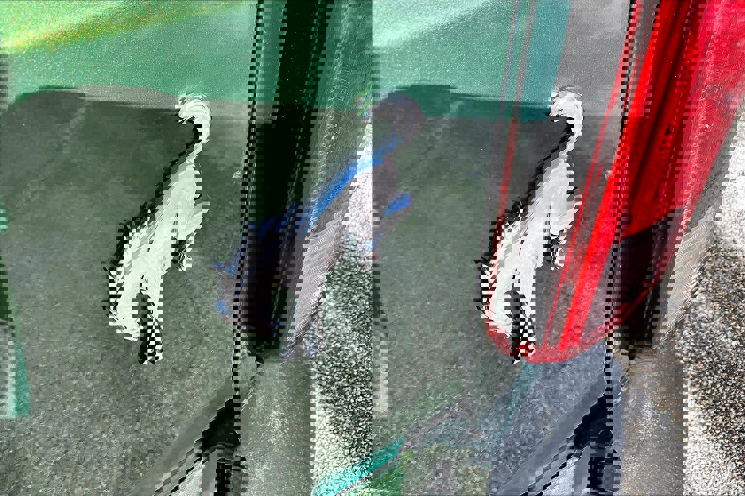 Used 2023 Ford Bronco Base image 9