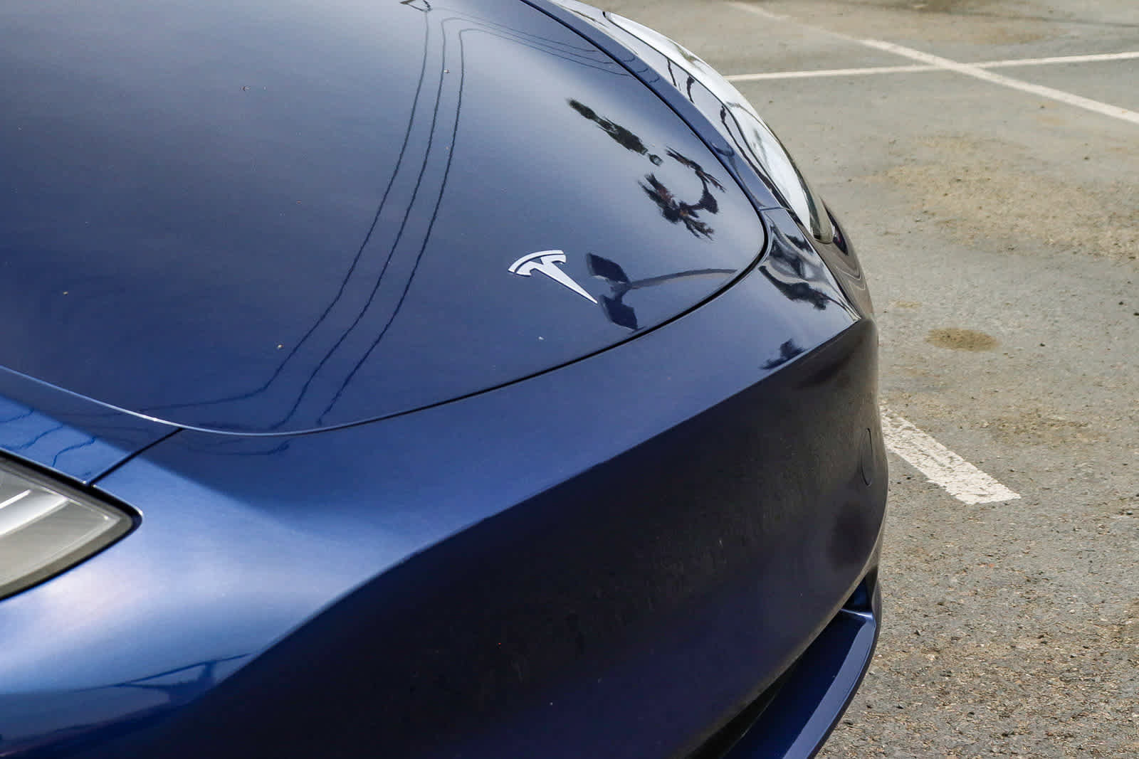 Used 2023 Tesla Model Y Long Range image 5