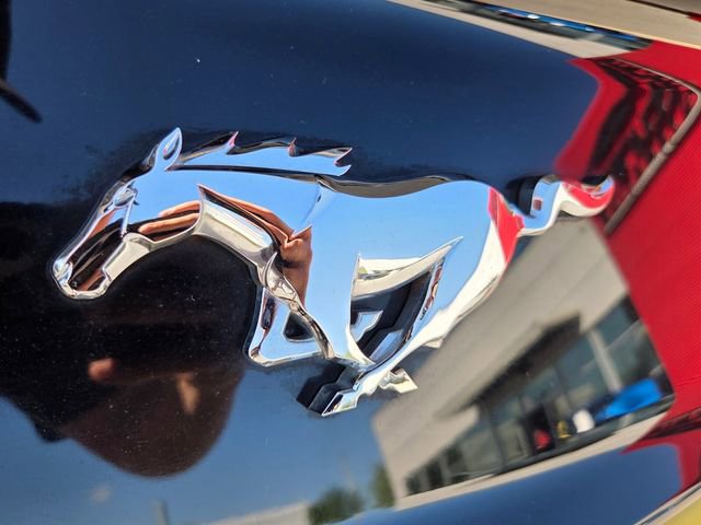 Used 2017 Ford Mustang Premium RWD image 13