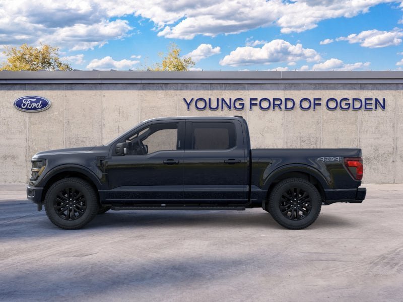 New 2024 Ford F150 XLT w/ Equipment Group 303A High AWD/4WD image 3