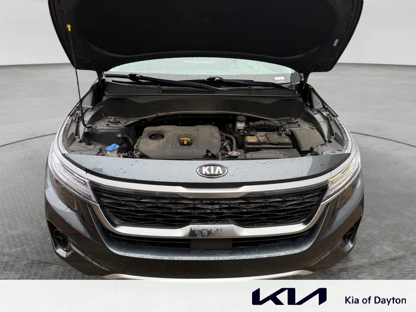 Used 2021 Kia Seltos EX AWD/4WD image 24