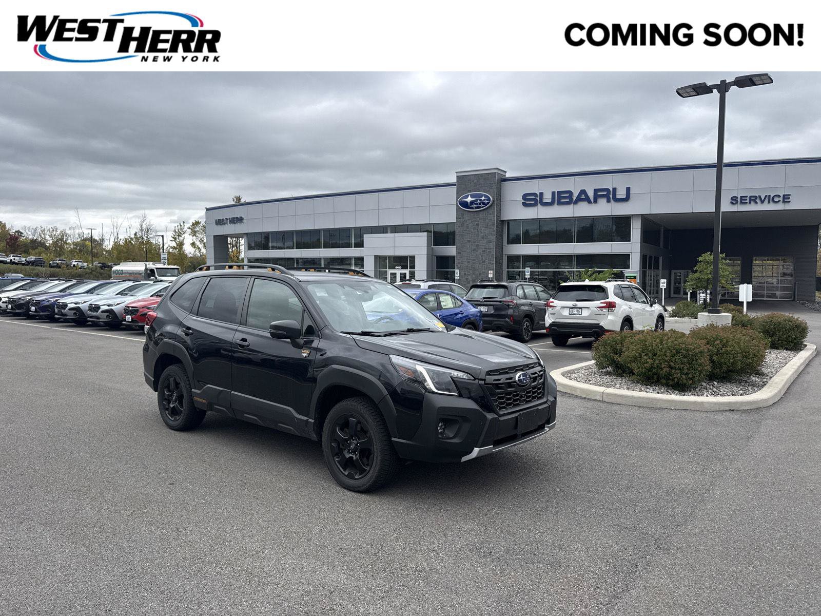 Used 2023 Subaru Forester Wilderness