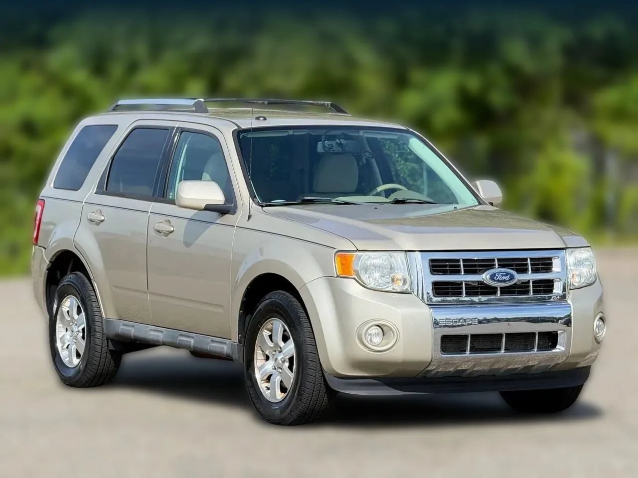 Used 2010 Ford Escape Limited