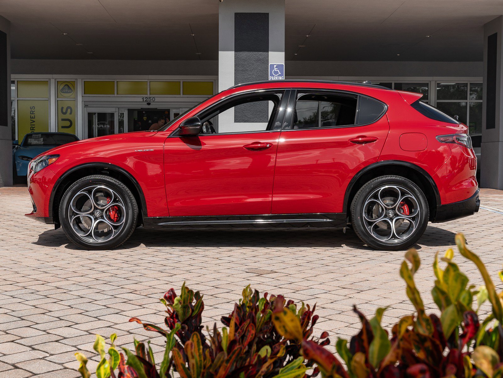 New 2024 Alfa Romeo Stelvio Veloce image 19