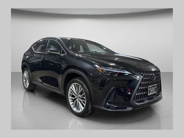 Used 2025 Lexus NX 350h AWD w/ Cold Area Package