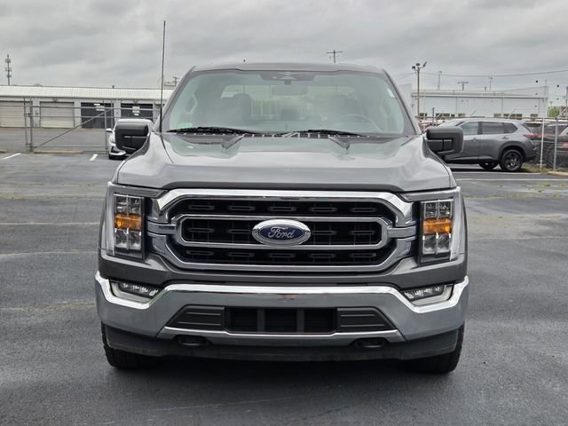 Used 2023 Ford F150 XLT w/ Equipment Group 302A High AWD/4WD image 8