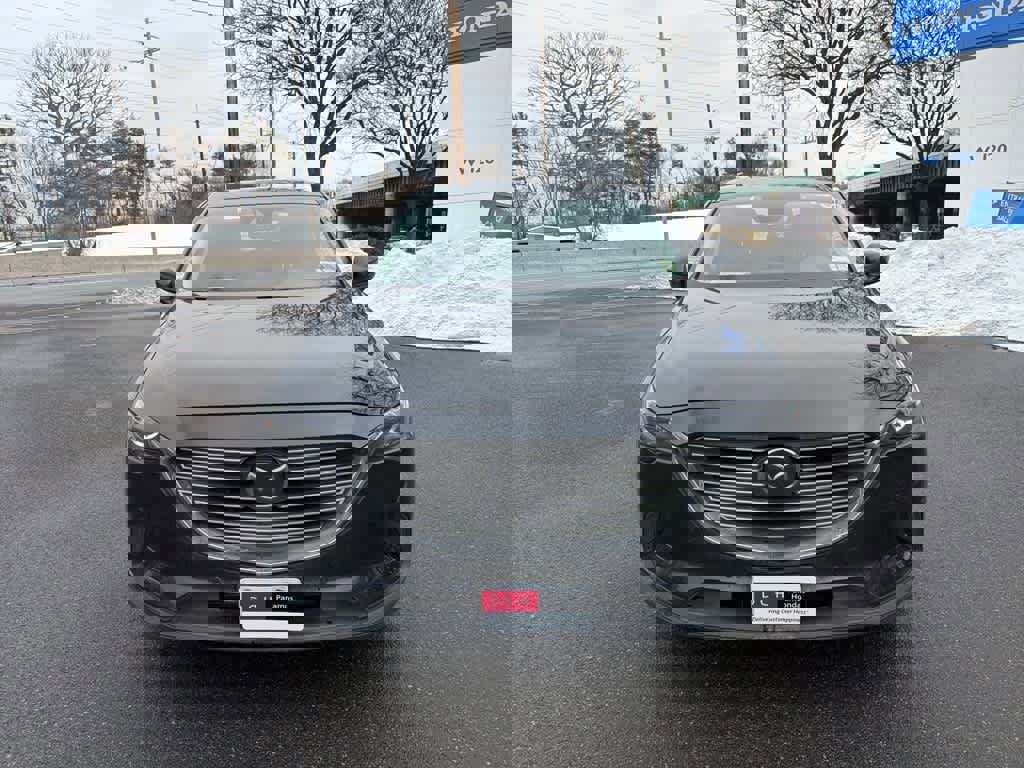 Used 2018 MAZDA CX-9 Touring w/ Touring Premium Package image 30