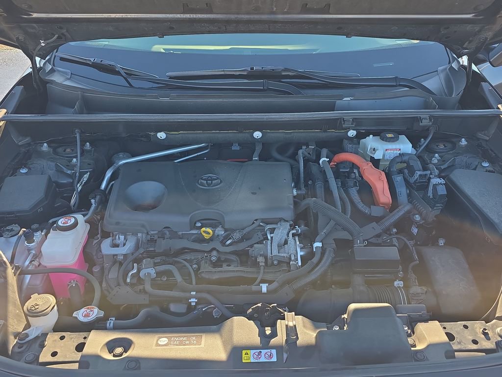 Used 2019 Toyota RAV4 Limited w/ Carpet Mat Package image 33