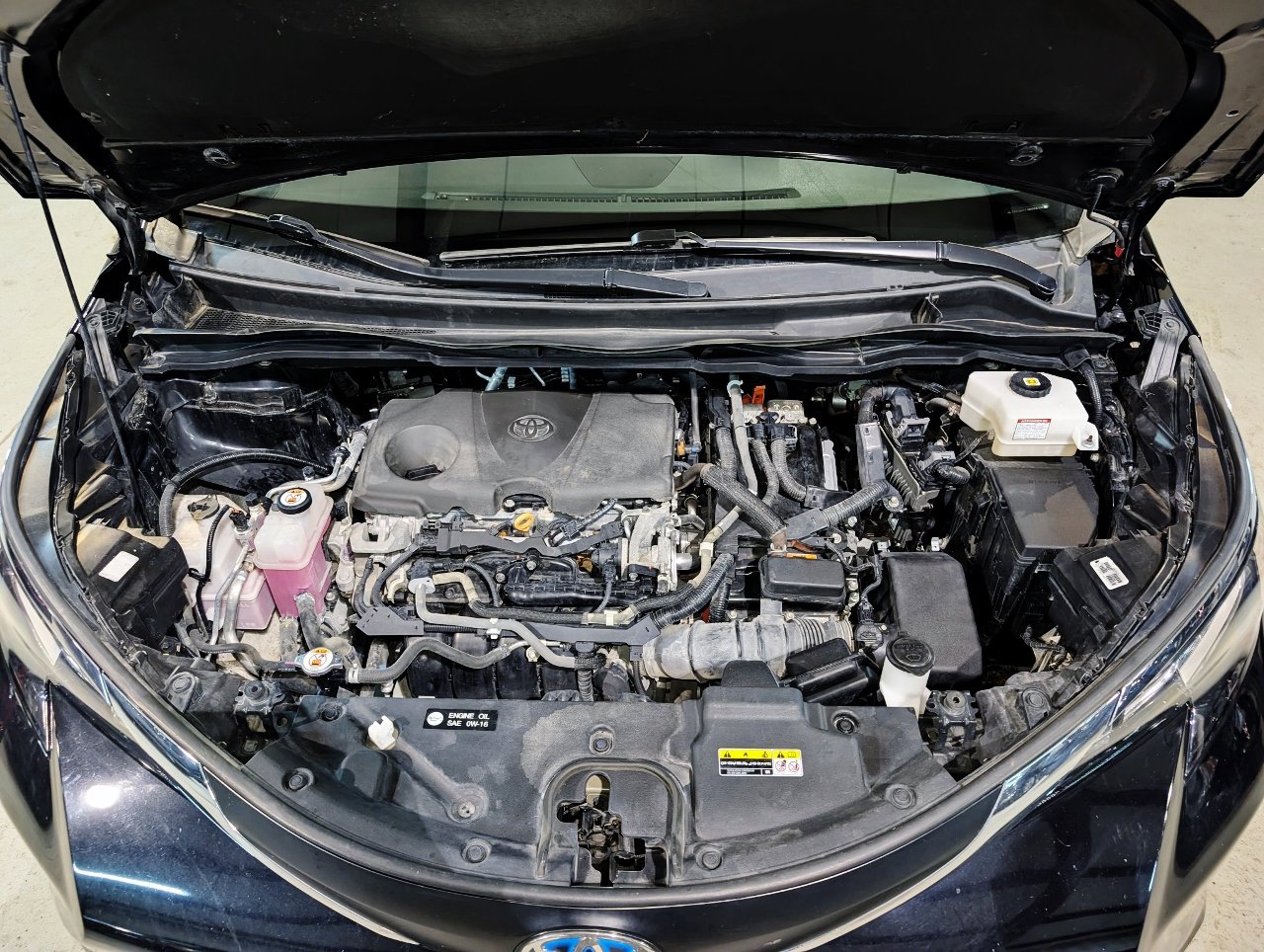 Used 2021 Toyota Sienna XLE w/ XLE Plus Package FWD image 51