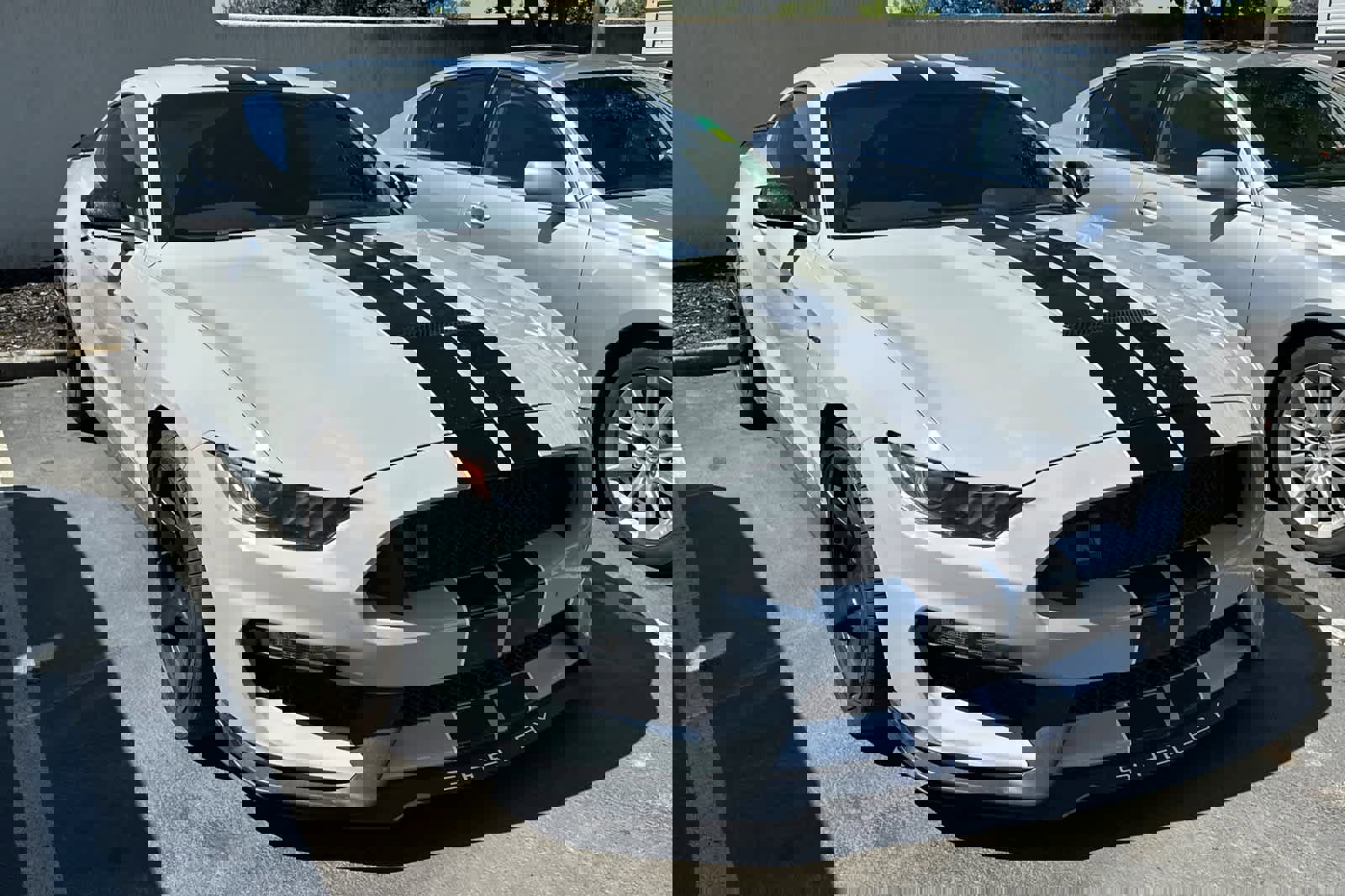 Used 2016 Ford Mustang Shelby GT350 w/ Technology Package RWD image 3