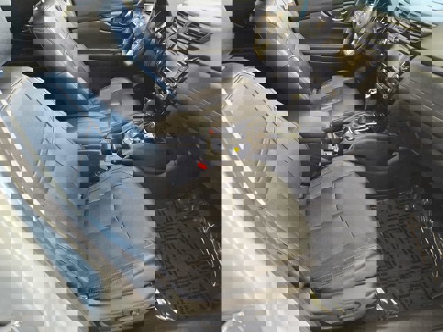 Used 2019 Nissan Rogue SL w/ Premium Package image 4