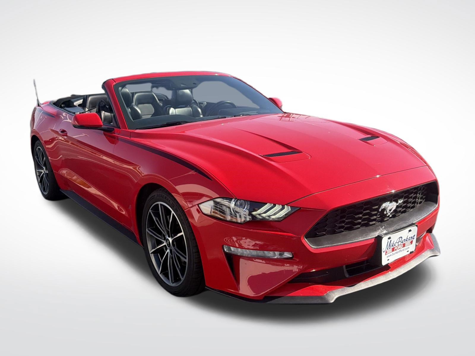 Used 2019 Ford Mustang Premium w/ Equipment Group 201A RWD image 19