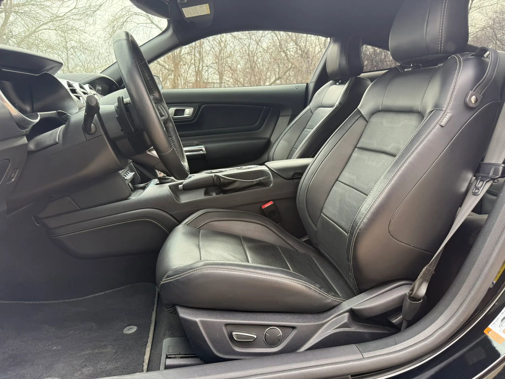 Used 2019 Ford Mustang GT Premium w/ Equipment Group 401A image 13