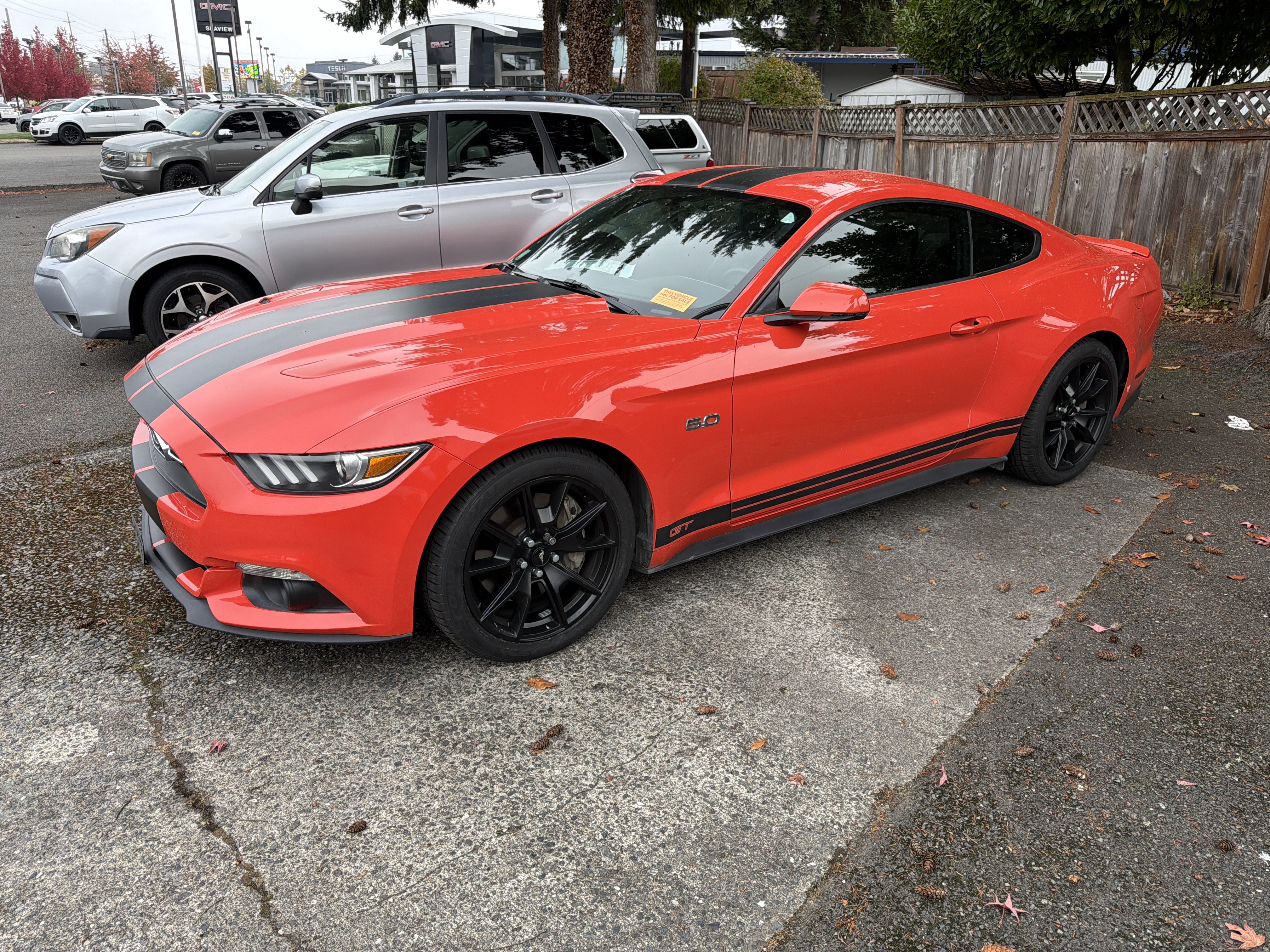 Used 2015 Ford Mustang GT Premium w/ Equipment Group 401A RWD image 2