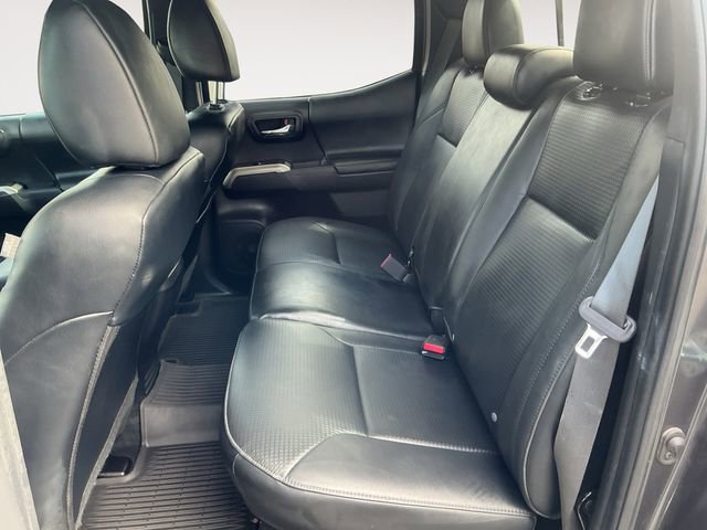 Certified 2023 Toyota Tacoma Limited w/ Nightshade Package AWD/4WD image 13