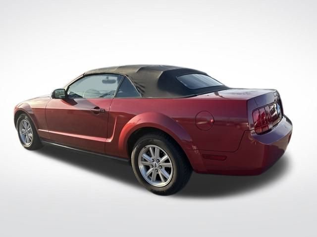 Used 2006 Ford Mustang Convertible image 1