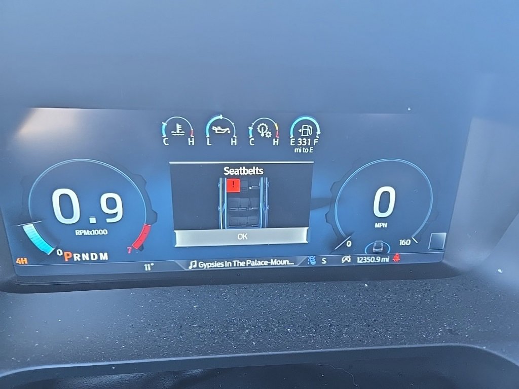 Used 2024 Ford Expedition Platinum image 10