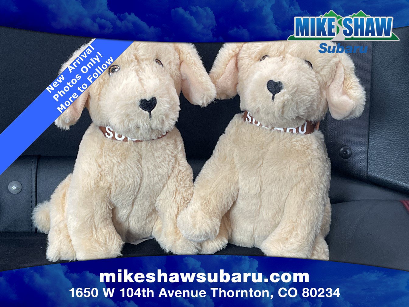 Used 2018 Subaru Forester 2.5i Limited image 31