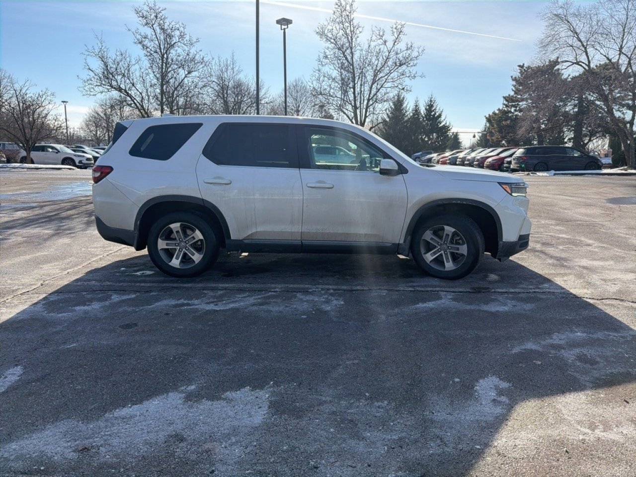 Used 2023 Honda Pilot EX-L image 12