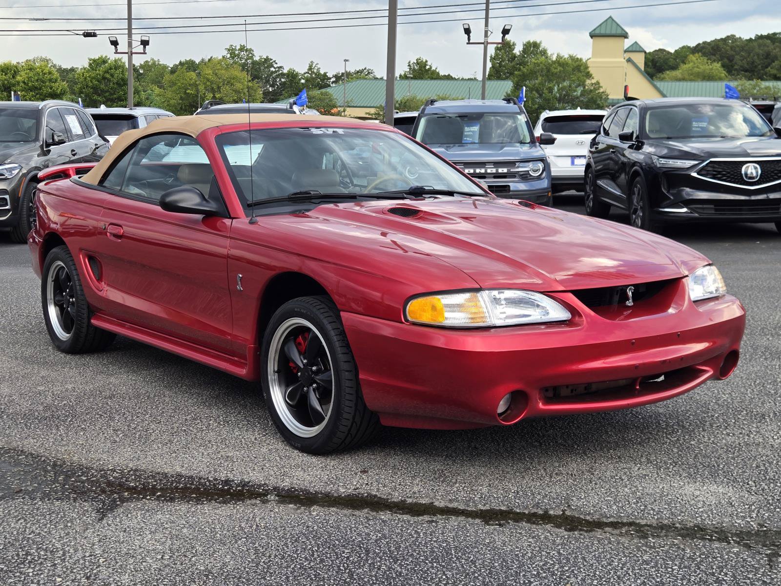 Used 1998 Ford Mustang Cobra RWD image 4