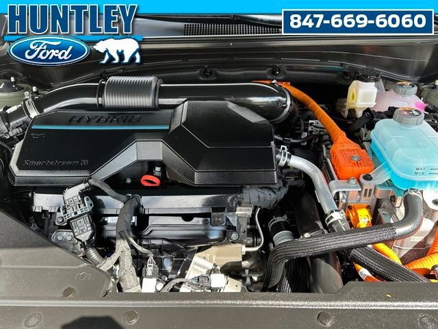 Used 2024 Kia Sportage X-Line image 9