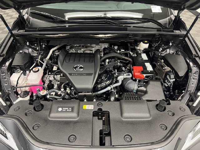 Certified 2026 Lexus NX 350 AWD w/ Cold Area Package image 23