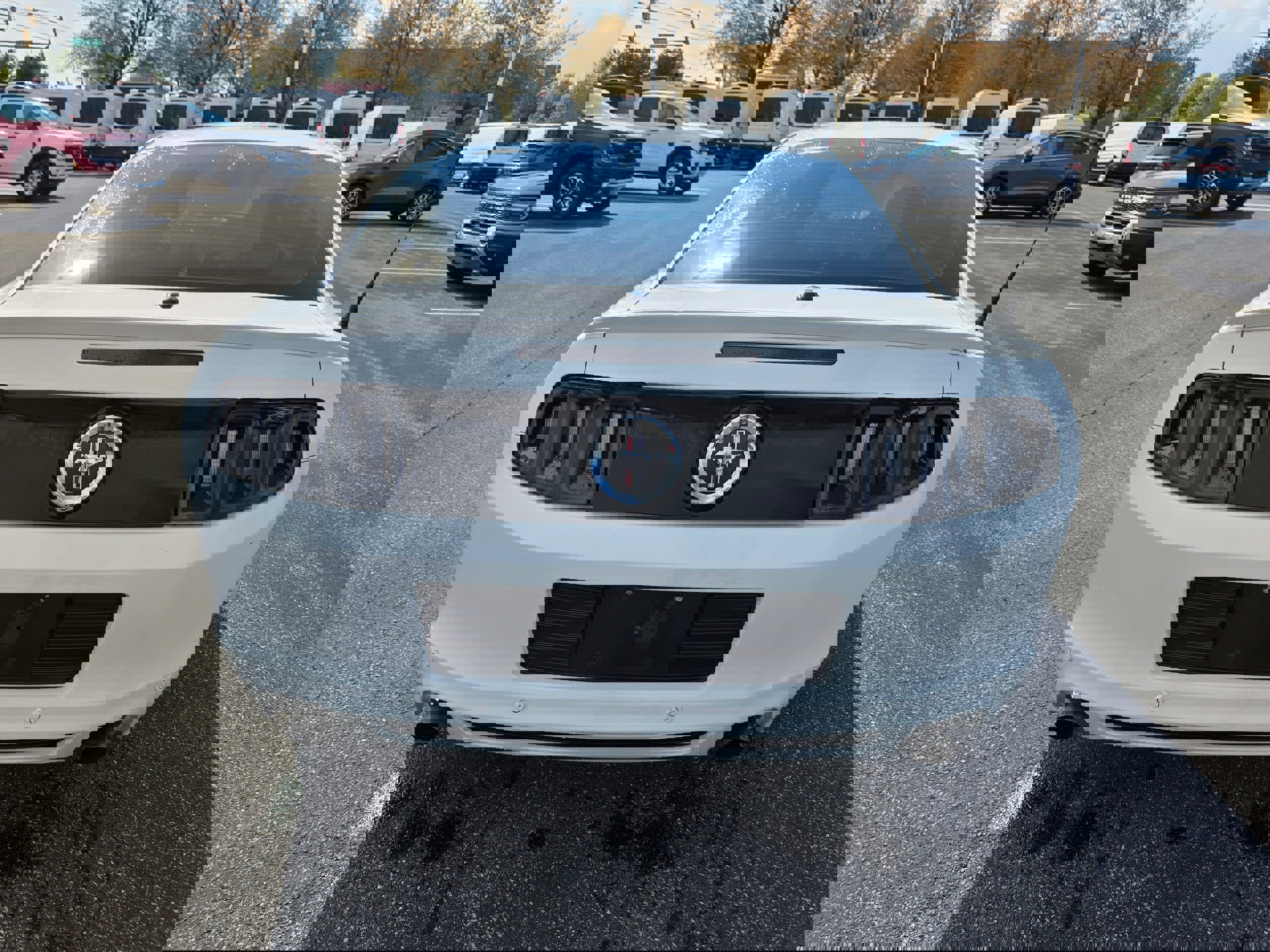 Used 2014 Ford Mustang Premium w/ Equipment Group 202A image 4