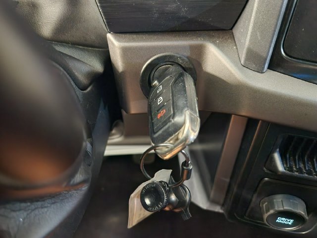 Used 2025 Ford F150 XLT w/ Equipment Group 301A Standard RWD image 35