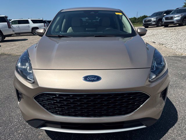 Used 2020 Ford Escape SE AWD/4WD image 3