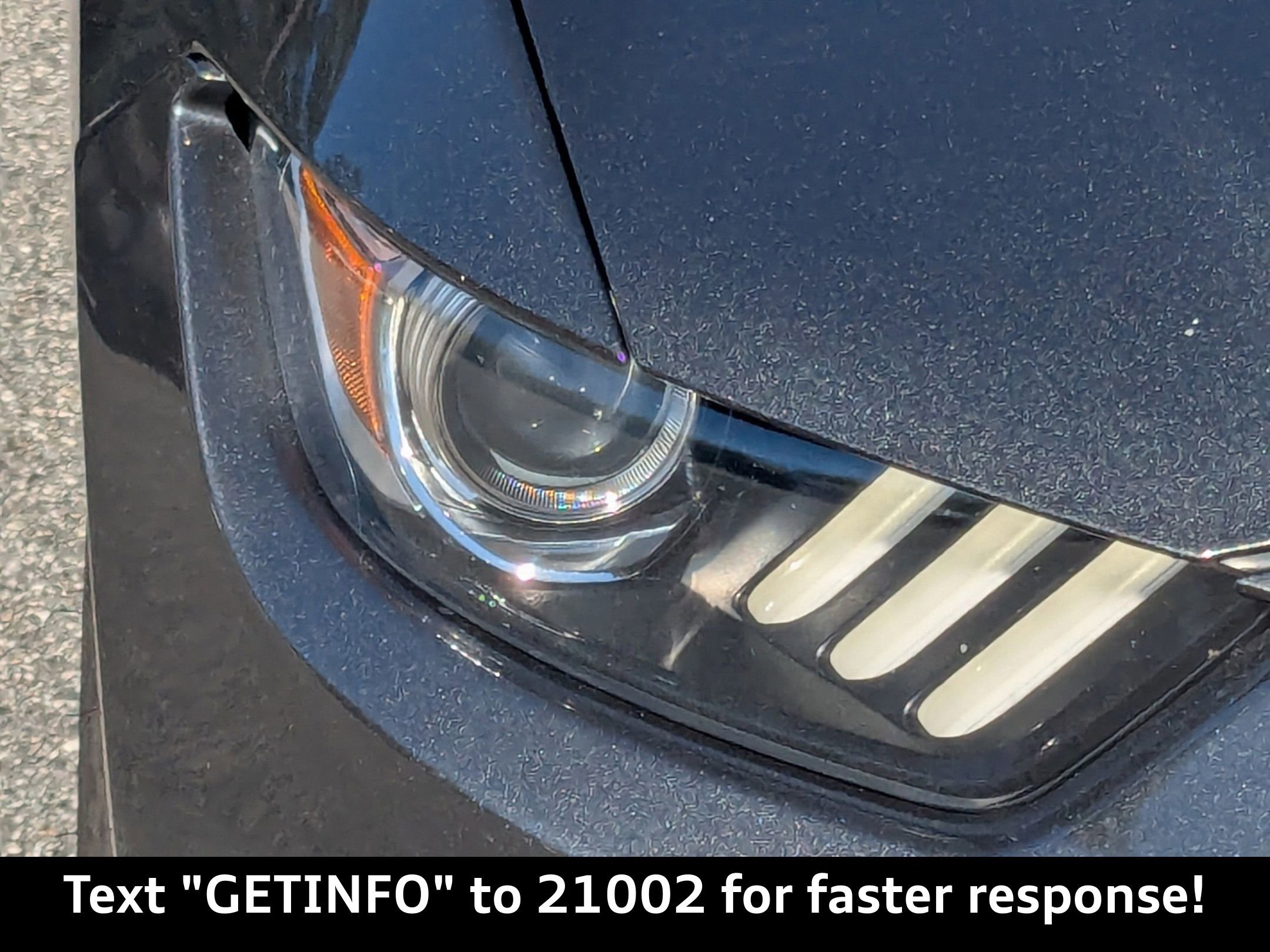 Used 2016 Ford Mustang Shelby GT350 w/ Technology Package image 8