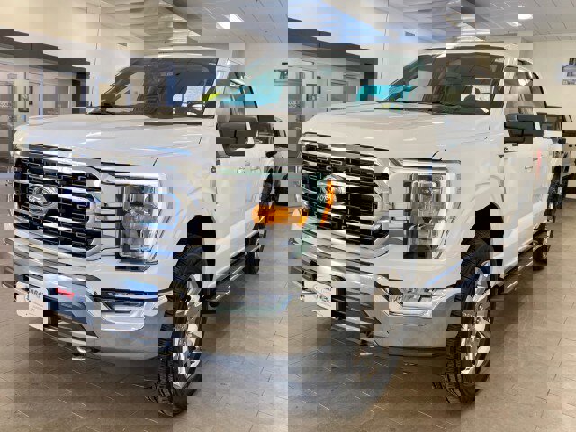 Used 2021 Ford F150 XLT w/ Equipment Group 302A High image 2