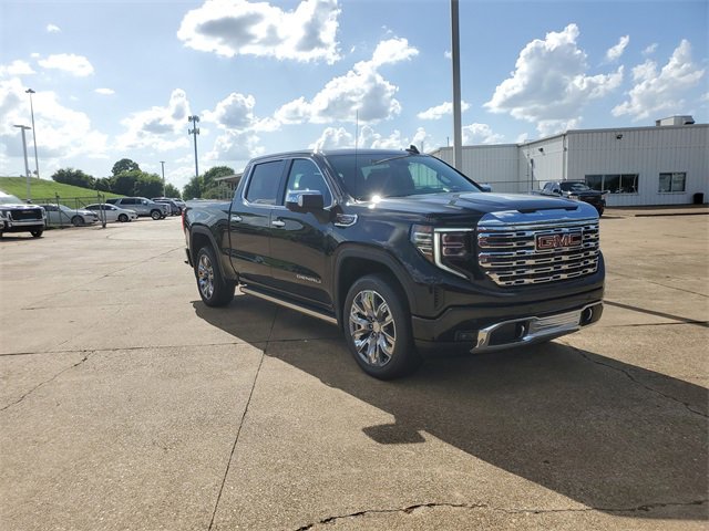 New 2025 GMC Sierra 1500 Denali