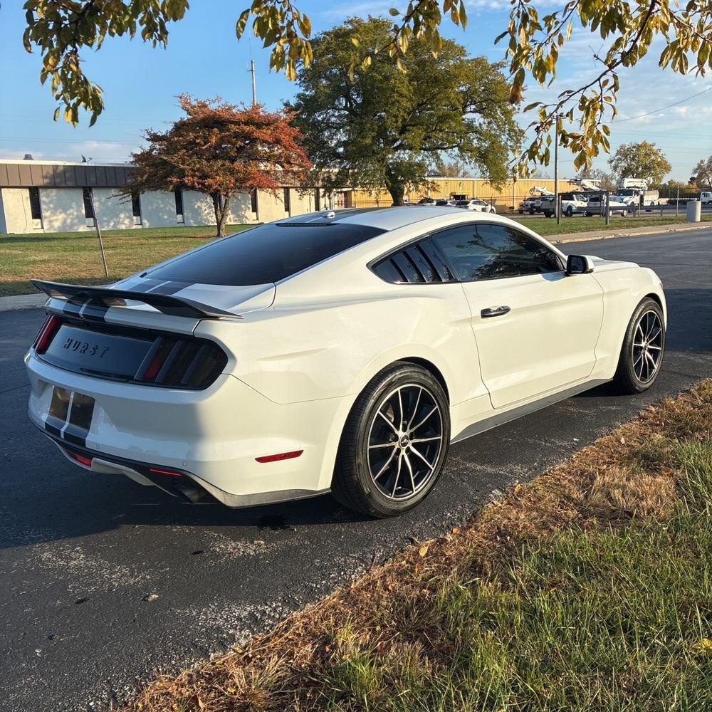 Used 2016 Ford Mustang Premium w/ Wheel & Stripe Package image 5