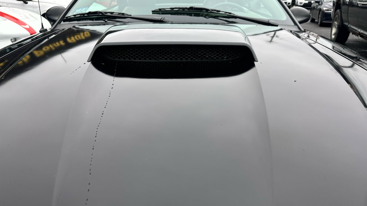 Used 2004 Ford Mustang GT Premium image 14