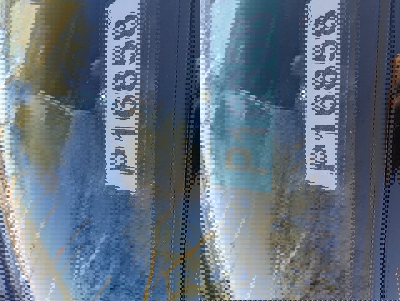 Certified 2024 Nissan Altima 2.5 SV image 29