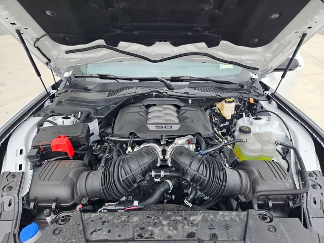 New 2026 Ford Mustang GT Premium image 13