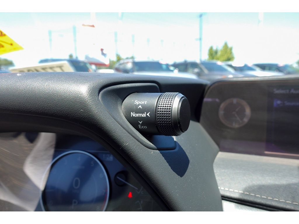 Used 2019 Lexus UX 200 w/ Premium Package FWD image 19