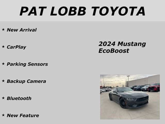 Used 2024 Ford Mustang Coupe image 14