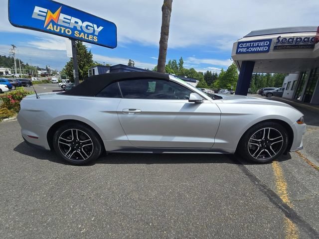 Used 2019 Ford Mustang Premium RWD image 8