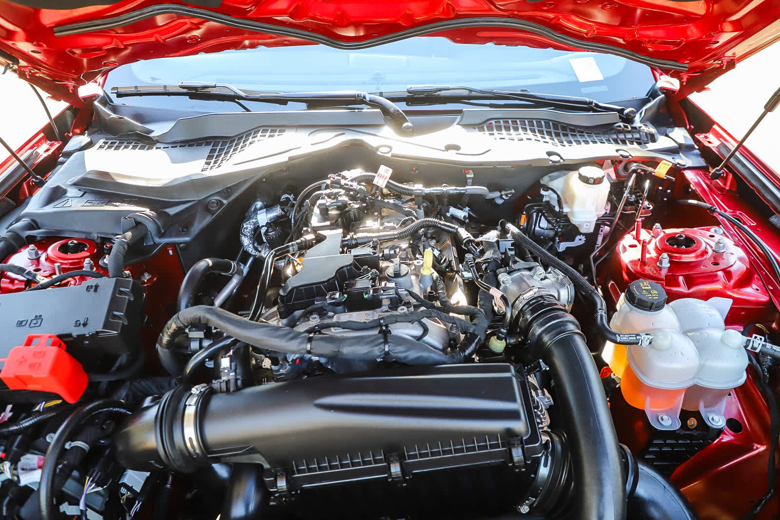 Used 2024 Ford Mustang Coupe RWD image 28