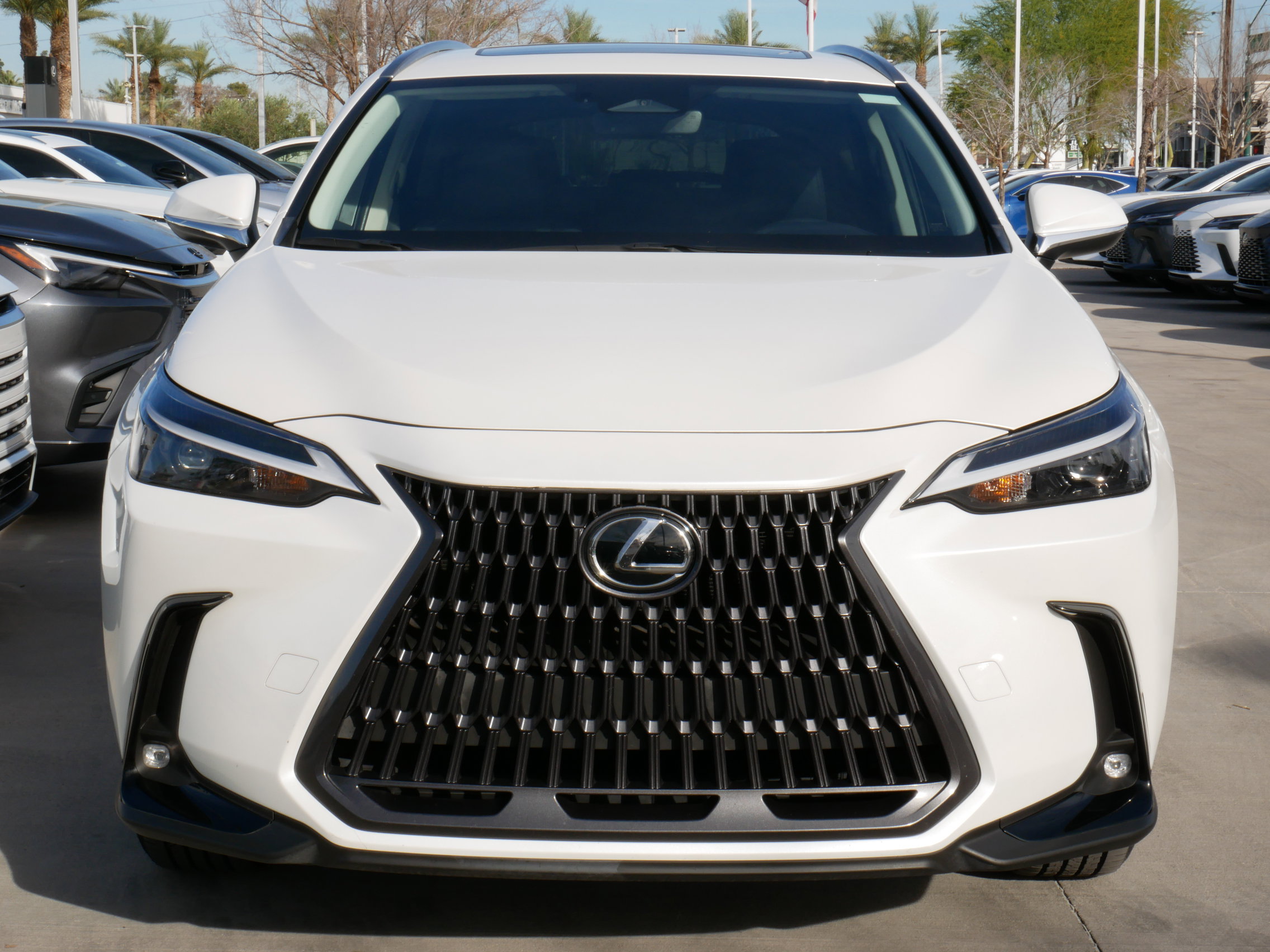 Used 2024 Lexus NX 350 AWD w/ Cold Area Package image 19
