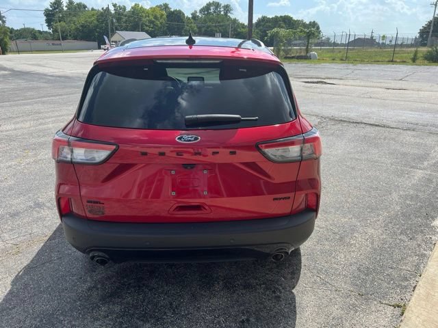 Used 2022 Ford Escape SEL w/ SEL Stealth AWD Package image 6