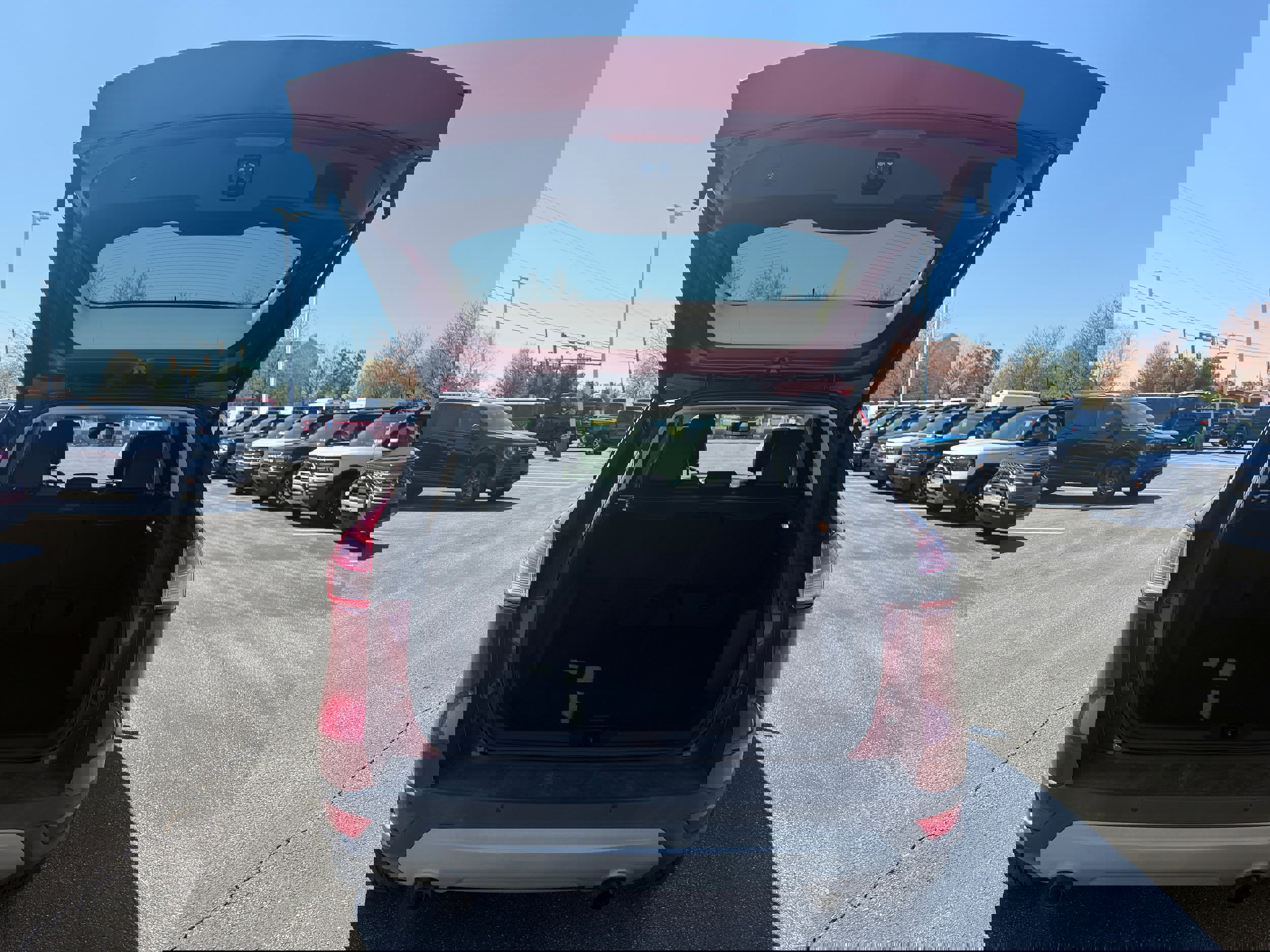 Used 2014 Ford Escape Titanium w/ Equipment Group 401A image 7