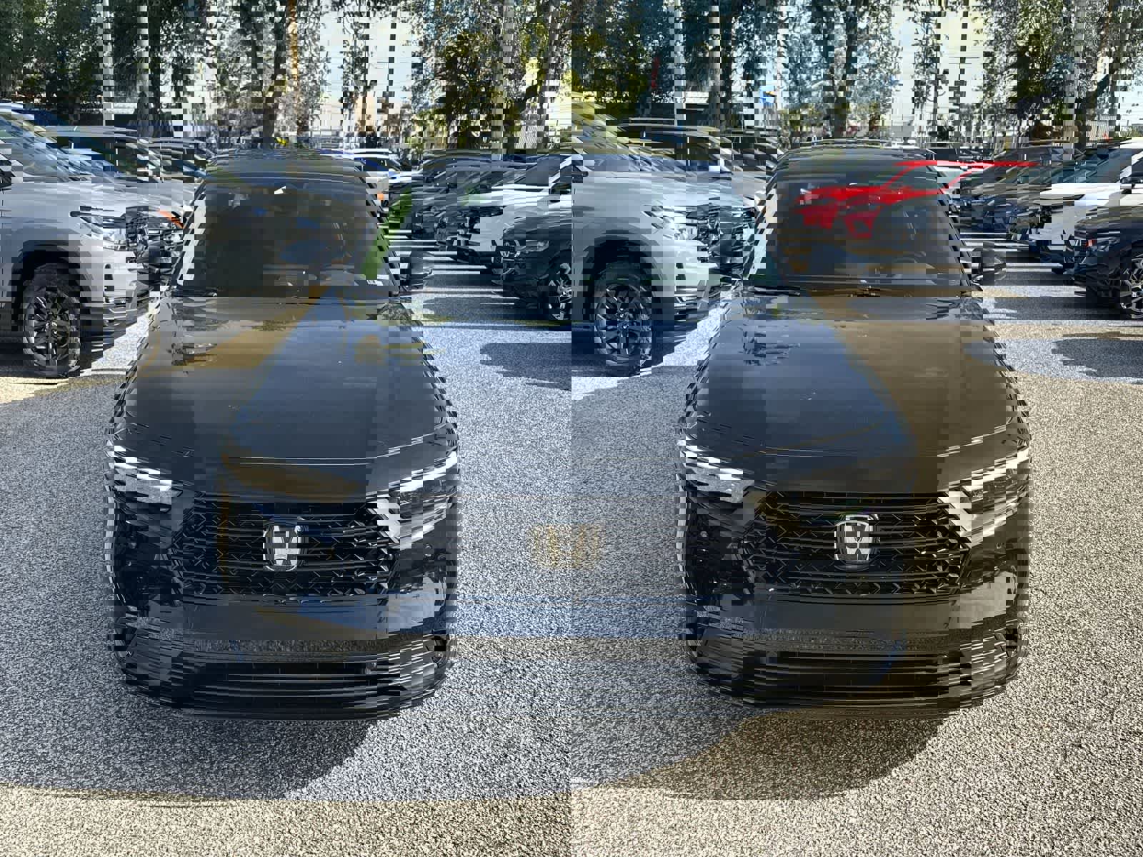 Used 2024 Honda Accord EX-L image 3