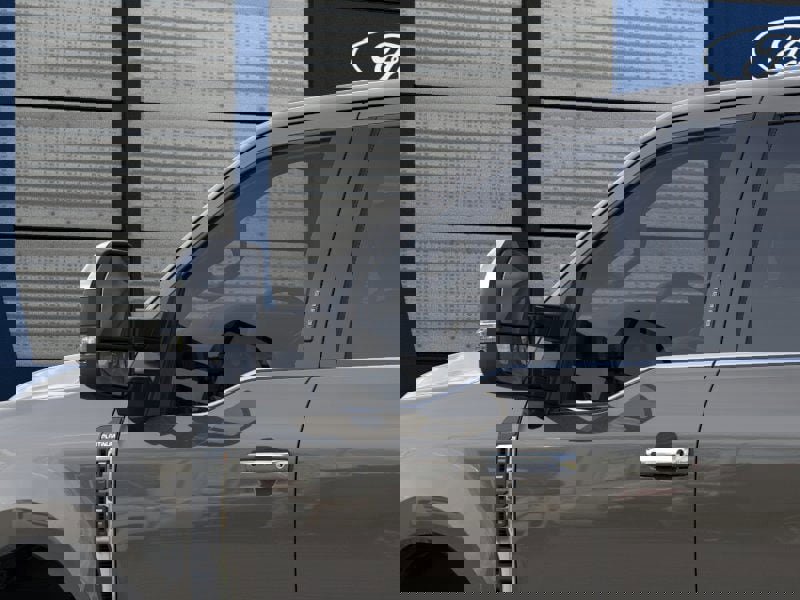 New 2026 Ford F250 Platinum image 20
