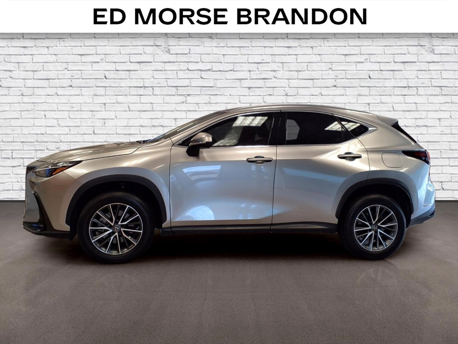 Used 2023 Lexus NX 250 FWD w/ Towing Package (2000 Lbs) video 2