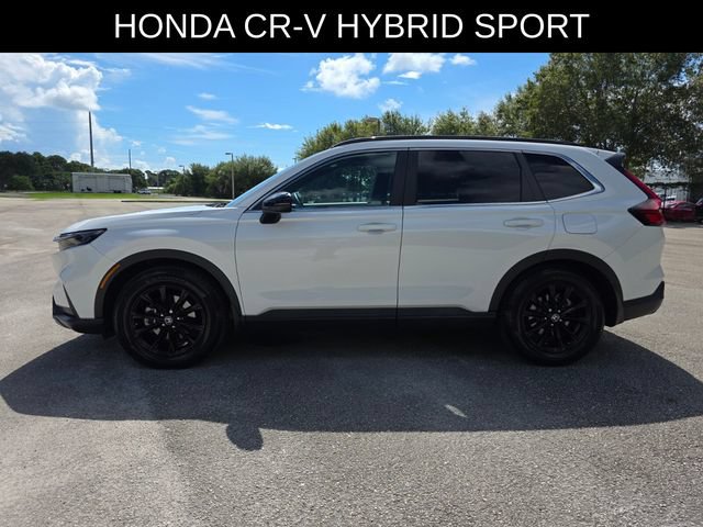 Used 2024 Honda CR-V Sport image 6
