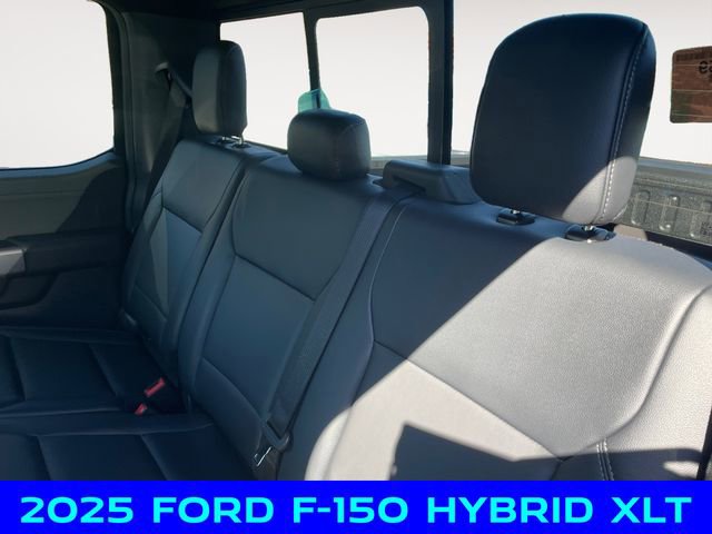 New 2025 Ford F150 XLT w/ Equipment Group 303A High image 13