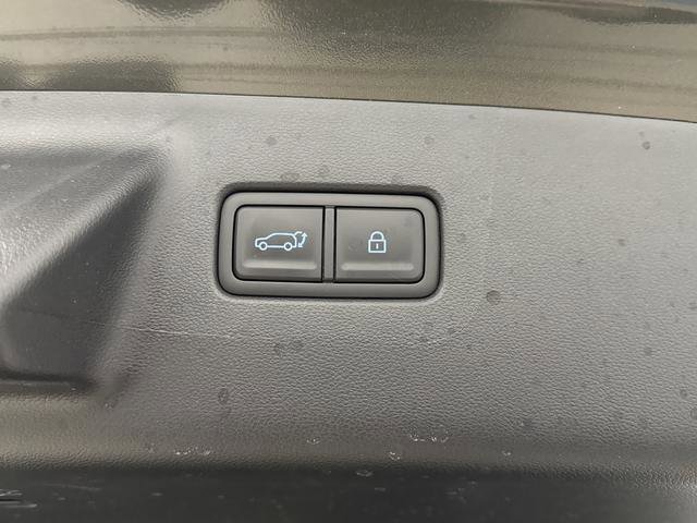 Used 2025 Hyundai Santa Fe Calligraphy image 16