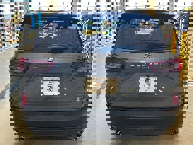 New 2025 Ford Escape ST-Line w/ Cold Weather Package image 5